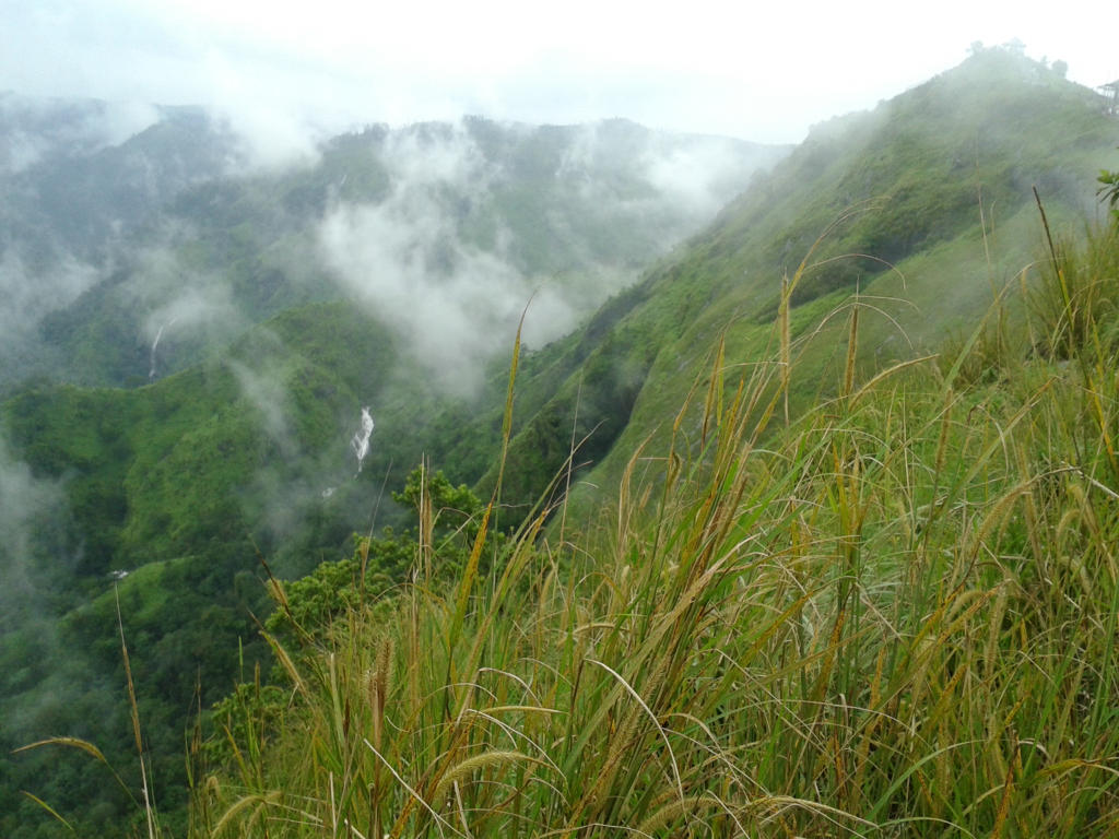 P2